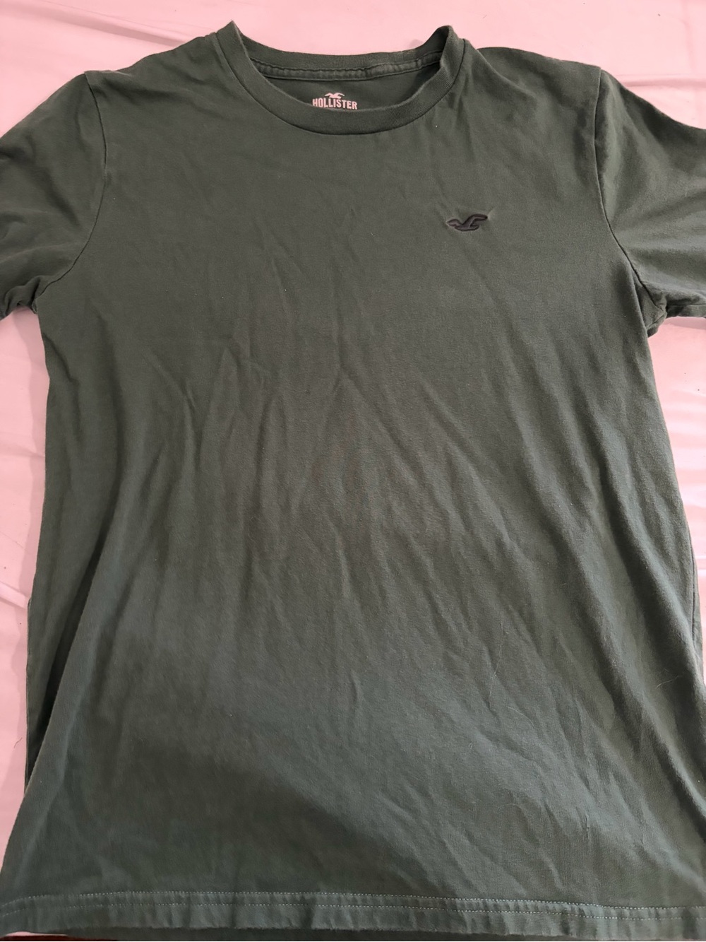 Hollister Crew Neck Short Sleeve T-Shirt Men’s Size S – Casual Green Tee